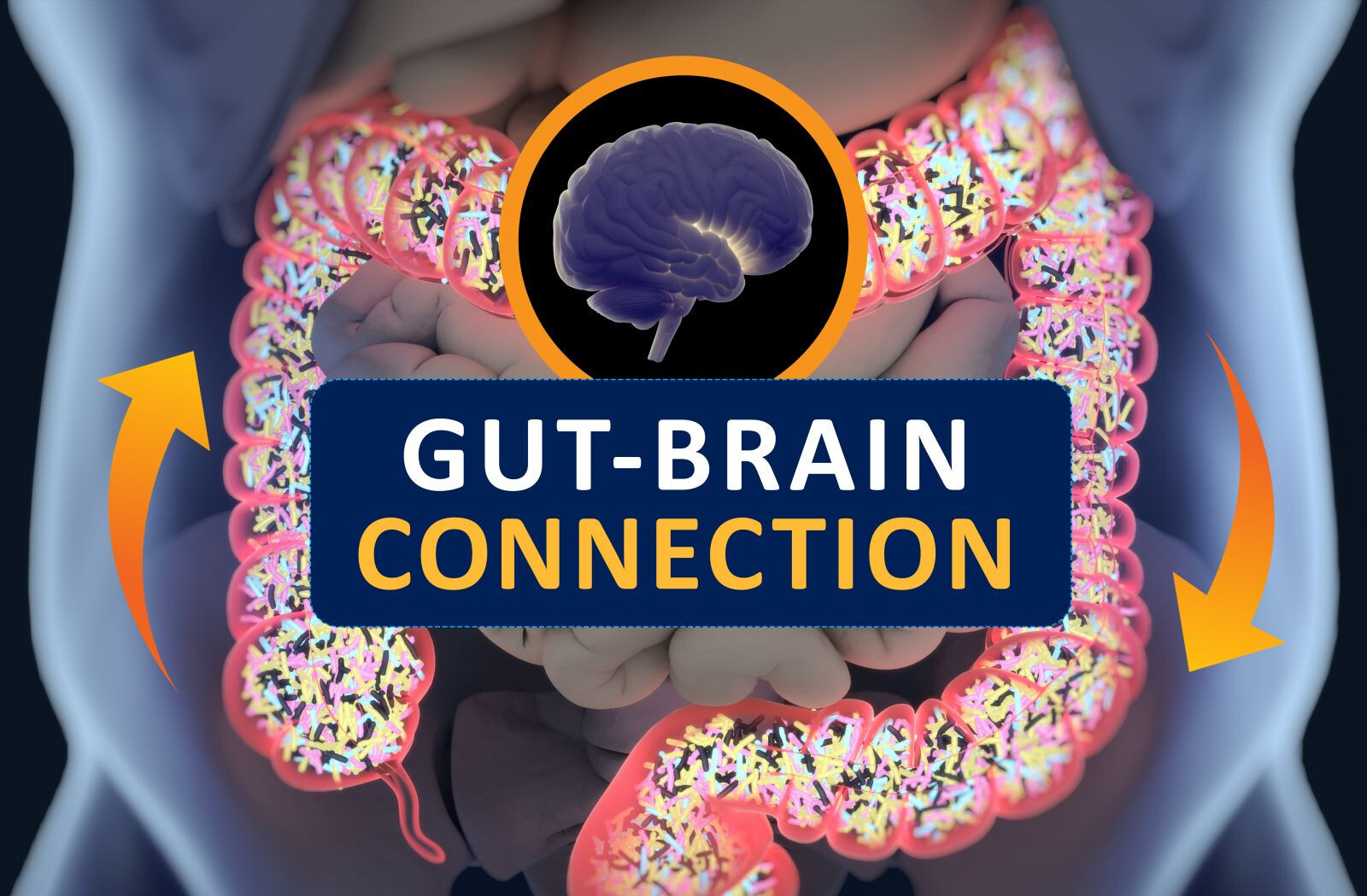 Gut Microbiome And Mental Health In Kids