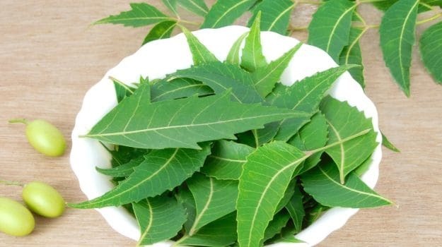 neem leaves, foods to boost immunity