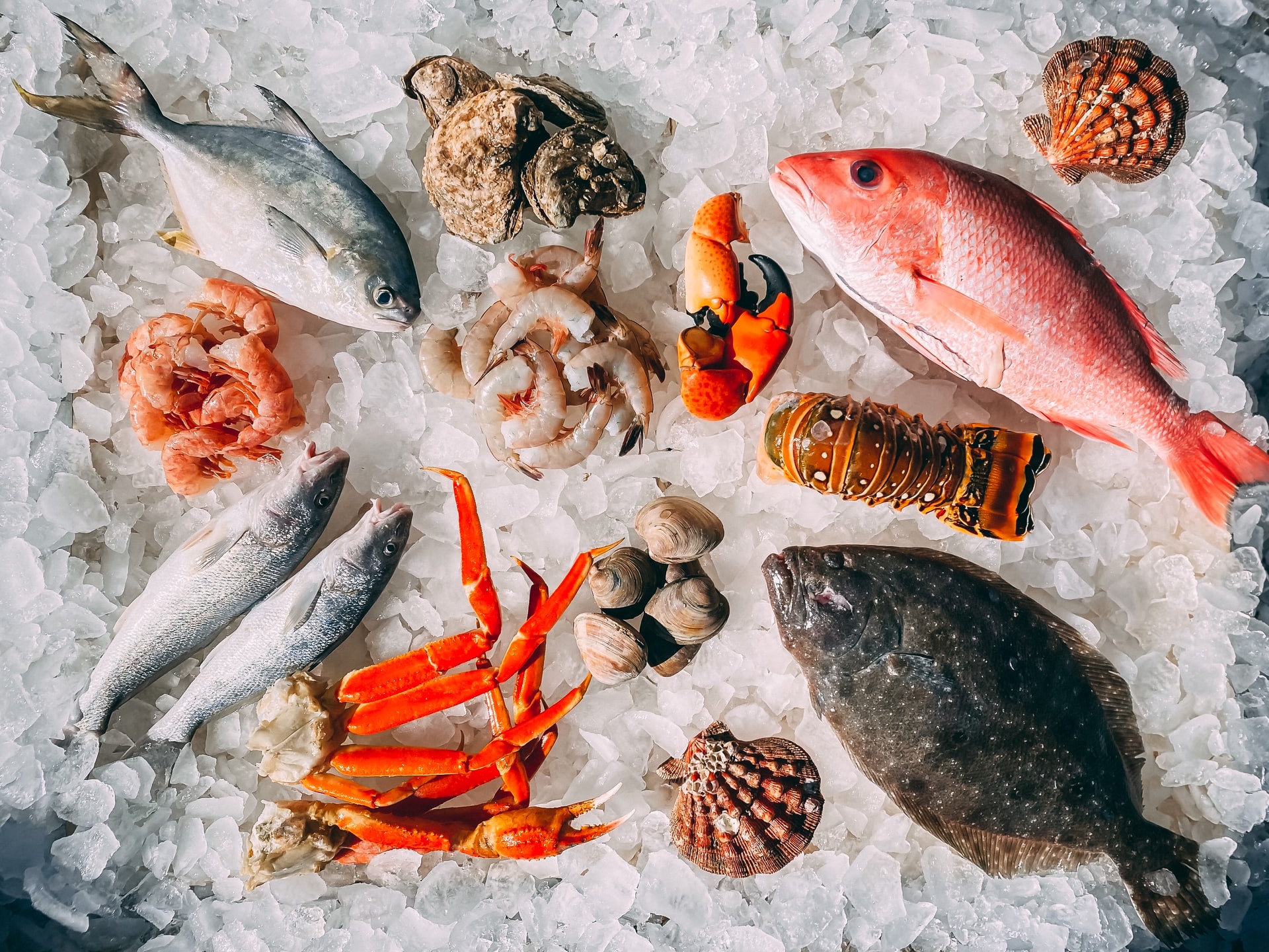 guide to introducing seafood to babies, seafood for babies